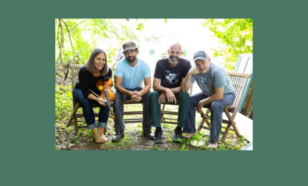 Rani Arbo daisy mayhem