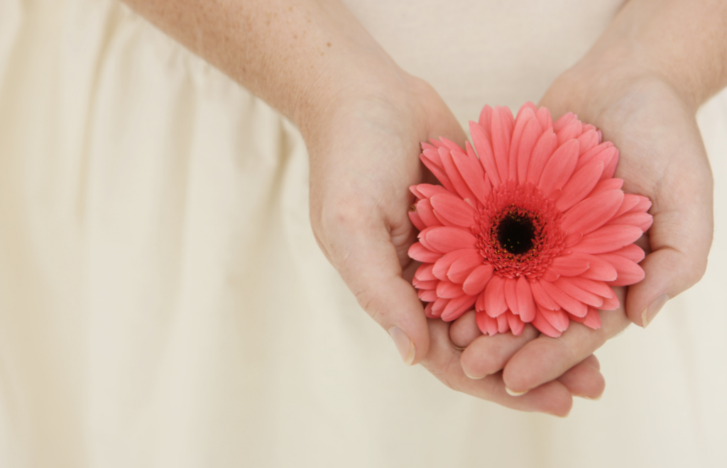 Photograph of two hands holding a red flower