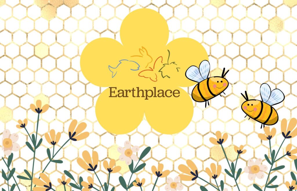 Decorative image with earthplace logo over a flower shape with some bees