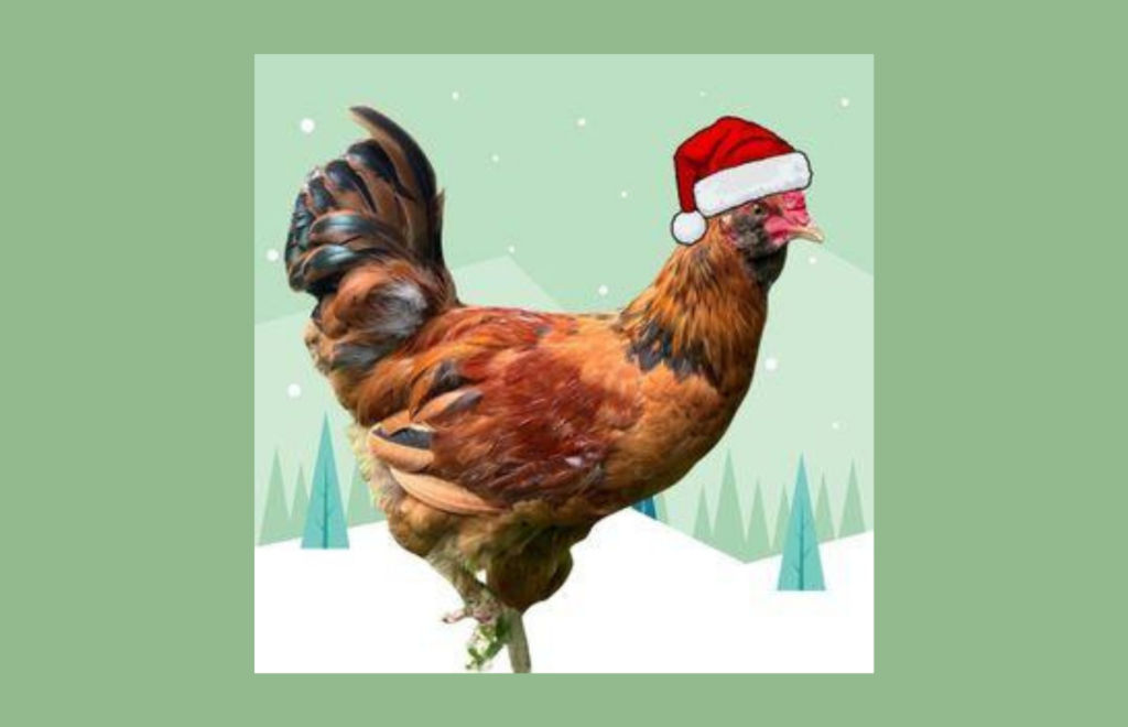 Rooster in a Santa hat
