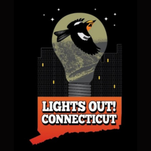 Lights Out Logo